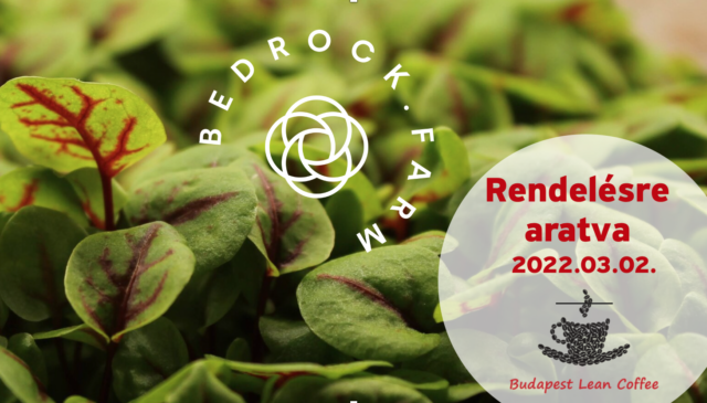 Budapest Lean Coffee – Rendelésre aratva