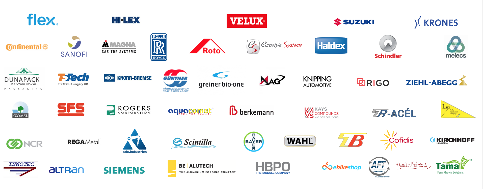 Főbb referenciáink